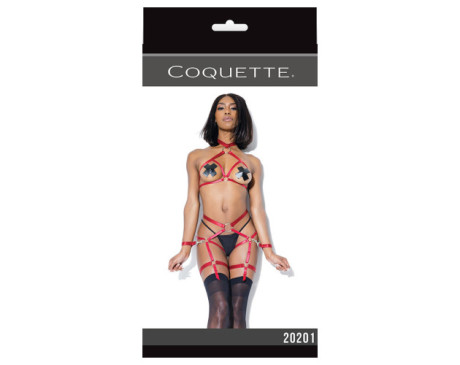 Harness Top And Crotchless Panty Merlot