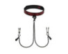 50 Shades SweetAnticipat Collar&Nipple