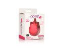 Gossip Cum Into Bloom Licking Rose Pink