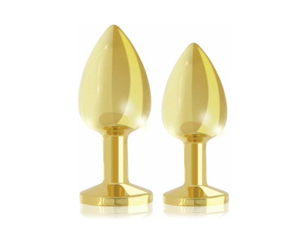 Rianne S 2pc Booty Plug Luxury Set Gold