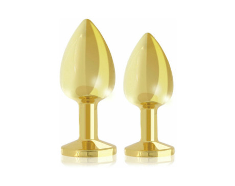 Rianne S 2pc Booty Plug Luxury Set Gold