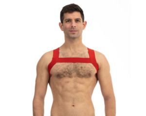 Prowler Red Sports Harness Red