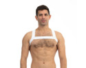 Prowler Red Sports Harness White