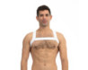 Prowler Red Sports Harness White