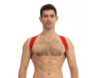 Prowler RED Sports Harness Lite Red S/M