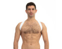 Prowler RED Sports Harness Lit White S/M