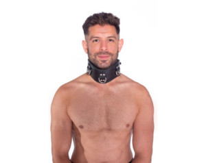 Prowler RED Leather Posture Collar LXL