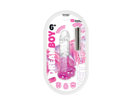 Wet Dreams Dream Boy Dildo W/Bullet 6