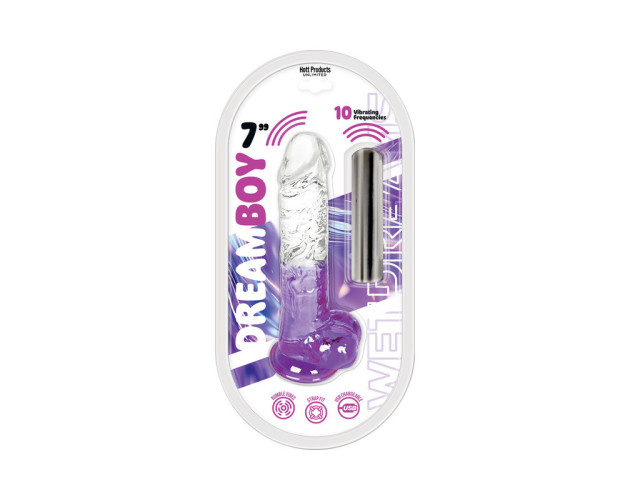 Wet Dreams Dream Boy Dildo W/Bullet 7